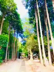 城中八幡神社の鳥居