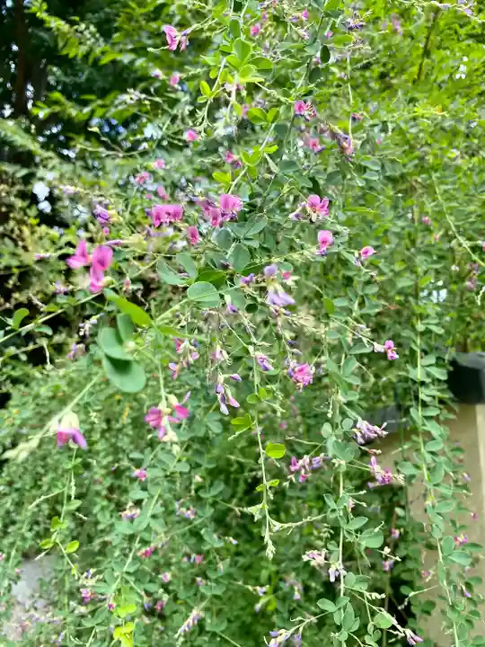 梨木神社(京都府)