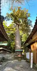 事任八幡宮の庭園