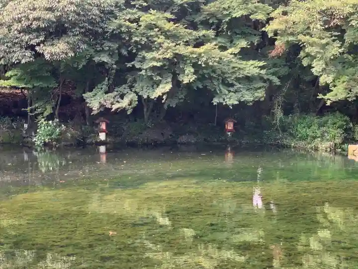 富士山本宮浅間大社の庭園