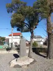 大宮神社(埼玉県)