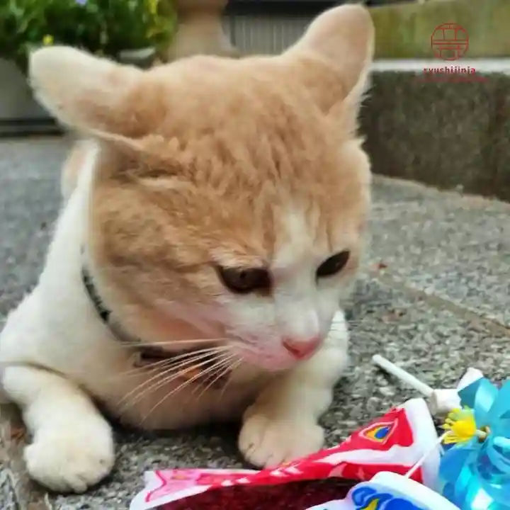 立志神社(滋賀県)