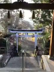 芳養八幡神社の鳥居