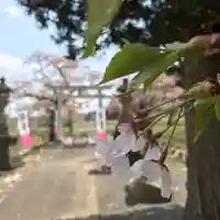 高司神社〜むすびの神の鎮まる社〜(福島県)