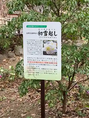 白岡八幡神社(埼玉県)