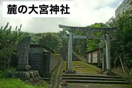 大宮神社(東京都)