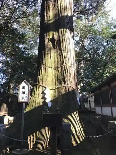 一言主神社の自然