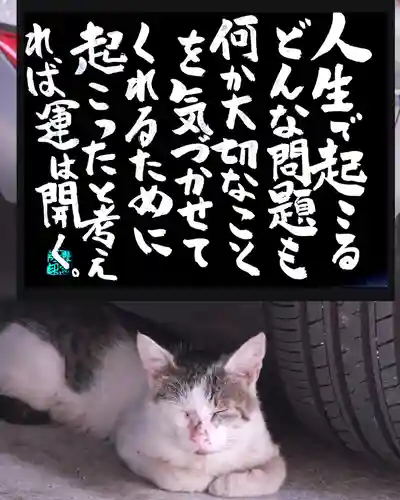 専念寺(大阪府)