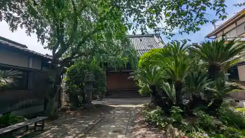 光徳寺(京都府)