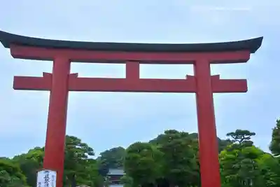 鶴岡八幡宮の鳥居
