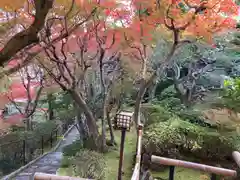 華厳寺（鈴虫寺）(京都府)