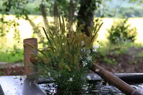 高司神社〜むすびの神の鎮まる社〜の手水舎