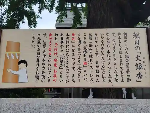 朝日氷川神社(埼玉県)