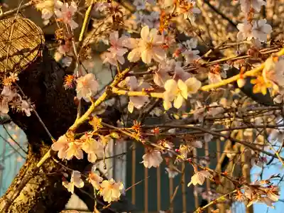 萱津神社(愛知県)