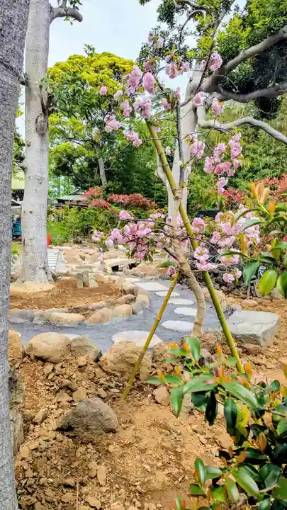 菊田神社の自然