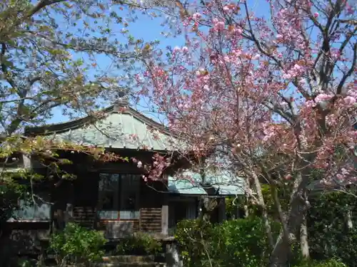 極楽寺（霊鷲山感應院極楽律寺）の自然