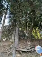 若宮八幡神社(山梨県)