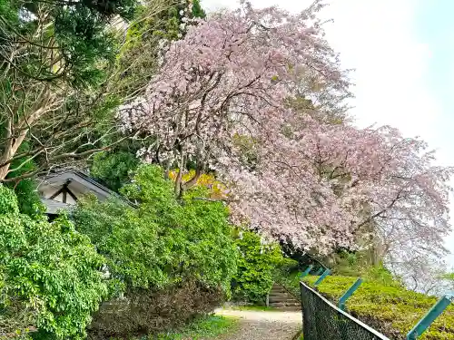 高館義経堂の自然