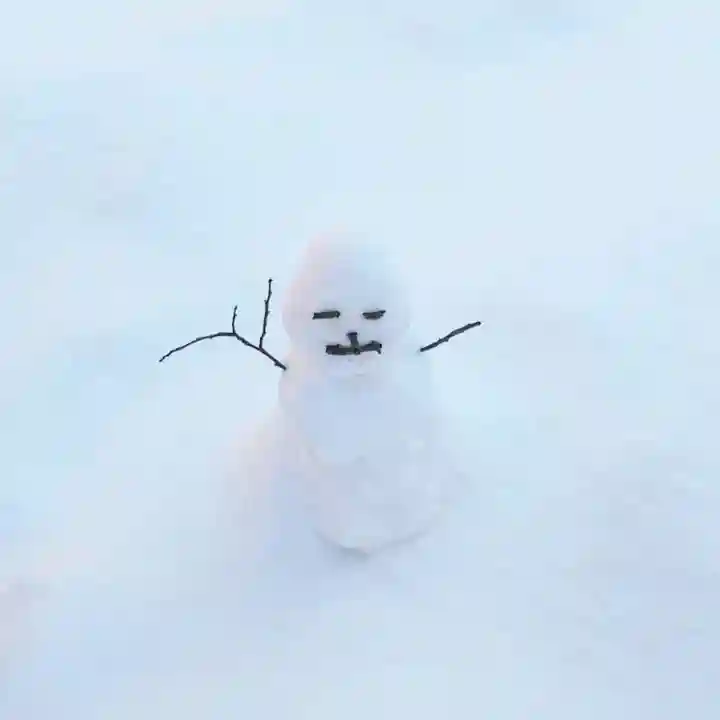 彌彦神社 (伊夜日子神社)の像