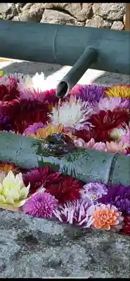 岡寺（龍蓋寺）の手水舎