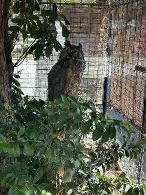宮地嶽神社の{uncategorized: "未分類", other: "その他", undefined: "問題あり", building: "その他建物", grave: "お墓", sacred_gate: "鳥居", guardian: "狛犬", statue: "像", buddha: "仏像", history: "歴史", nature: "自然", garden: "庭園", animal: "動物", pagoda: "塔", temizu: "手水舎", mountain_gate: "山門・神門", sanctuary: "本殿・本堂", subordinate: "末社・摂社", art: "芸術", scenery: "景色", jizo: "地蔵", ema: "絵馬", goshuin: "御朱印", omikuji: "おみくじ", items: "授与品その他", amulet: "お守り", goshuincho: "御朱印帳", eats: "食事", festival: "お祭り", votive_dance: "神楽", shichigosan: "七五三参", wedding: "結婚式", experience: "体験その他", initially: "初詣", around: "周辺", anti_infection: "感染症対策"}