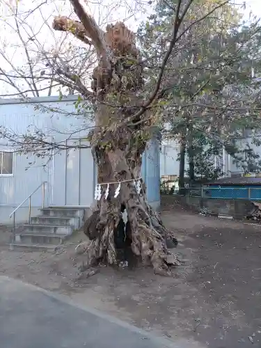 備後須賀稲荷神社(埼玉県)