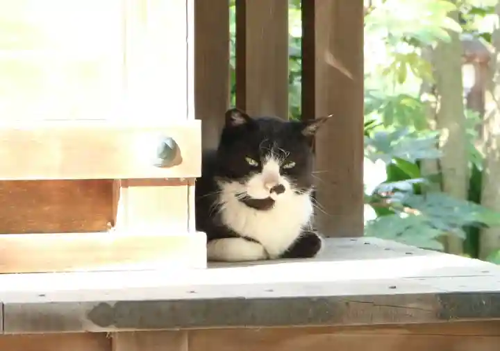宗像神社の動物