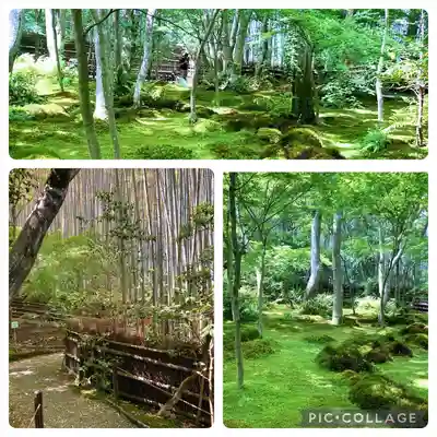 祇王寺(京都府)