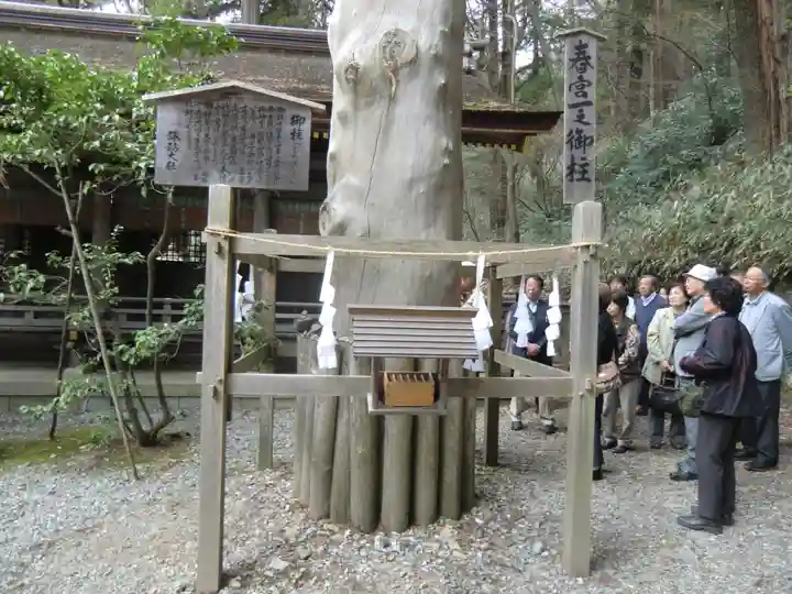 諏訪大社下社春宮(長野県)