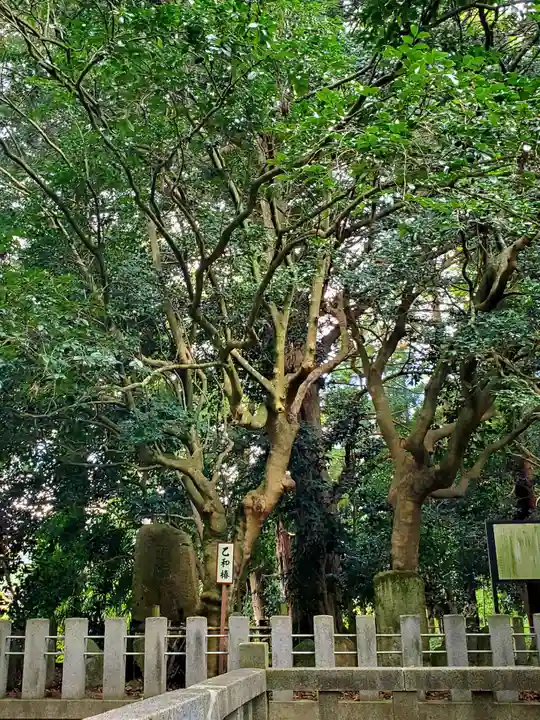 医王寺(福島県)