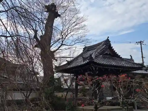 穴太寺(京都府)