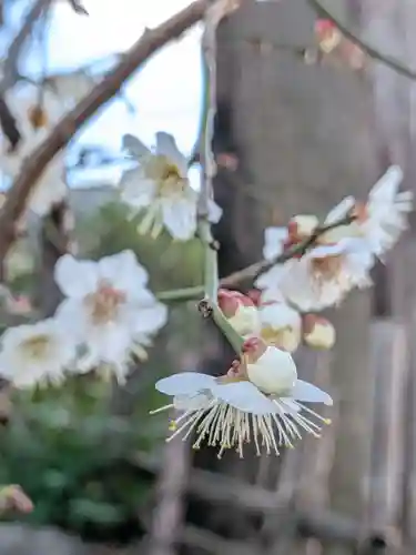 田端神社(東京都)