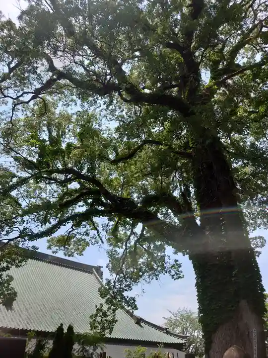 時宗総本山 遊行寺(正式:清浄光寺)(神奈川県)