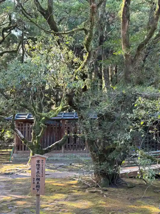 宮崎神宮(宮崎県)