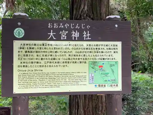 大宮神社(栃木県)
