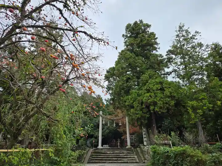 檜原神社(大神神社摂社)(奈良県)