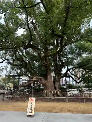 諫早神社（九州総守護  四面宮）(長崎県)