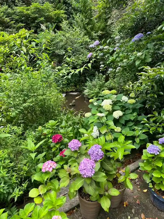 大綱金刀比羅神社(神奈川県)