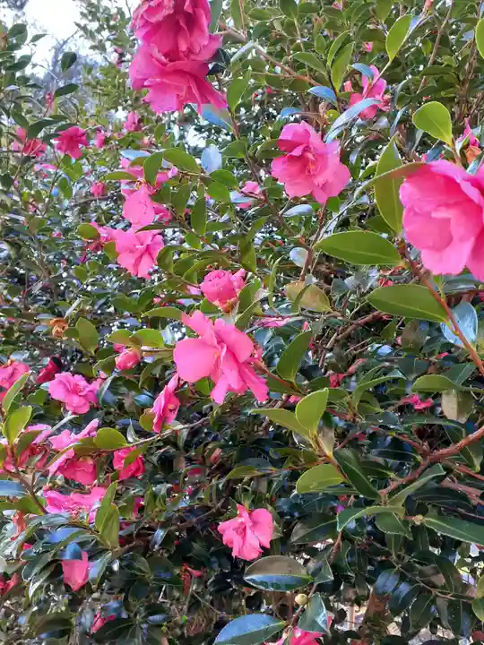 尾崎神社(岩手県)