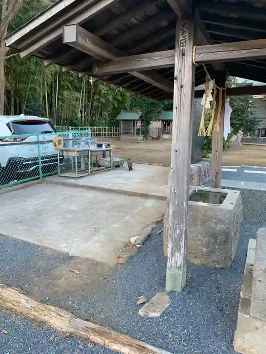 琴平神社(千葉県)