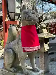 源九郎稲荷神社の狛犬