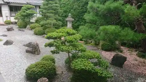 宗安寺の庭園