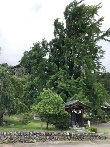 本國寺の自然