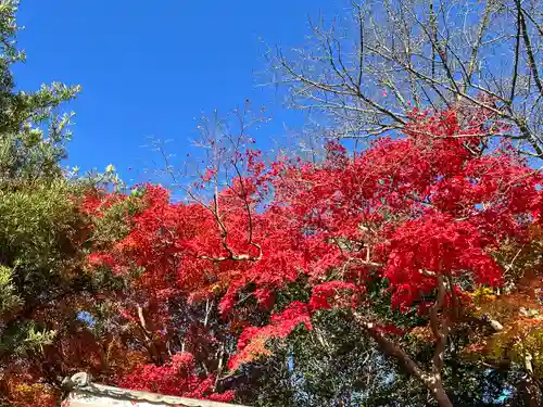弘川寺(大阪府)