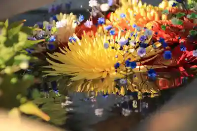 豊景神社の手水舎