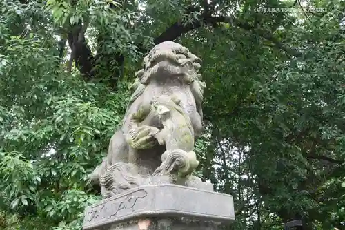 阿佐ヶ谷神明宮の狛犬