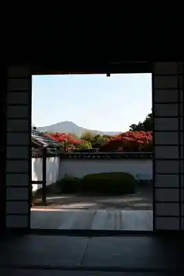 正伝護国禅寺(正伝寺･正傳寺)(京都府)