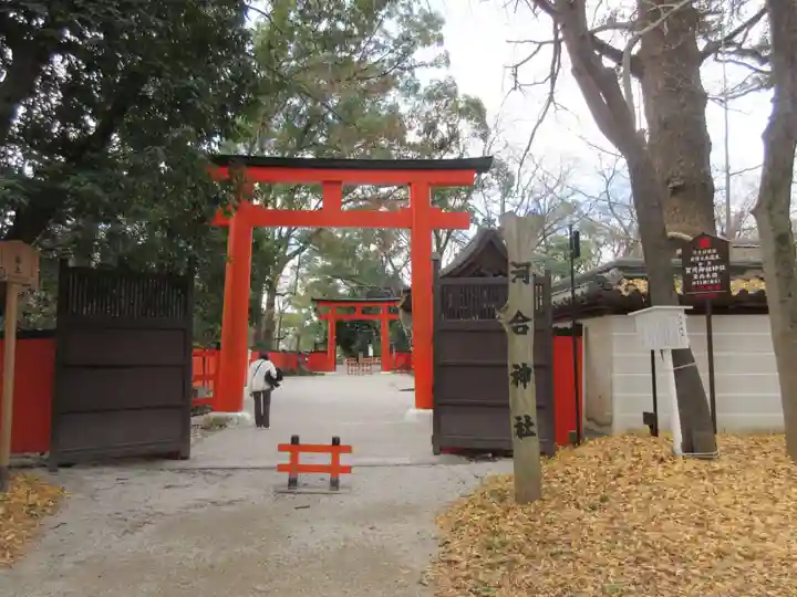 河合神社(鴨川合坐小社宅神社)の鳥居