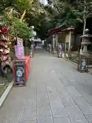 江島神社の庭園