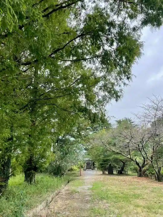 白龍弁財天社(雷電神社末社)(群馬県)